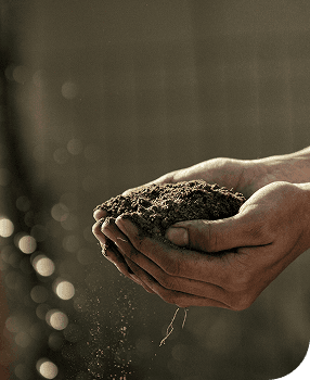 Проекты общественной пользы 