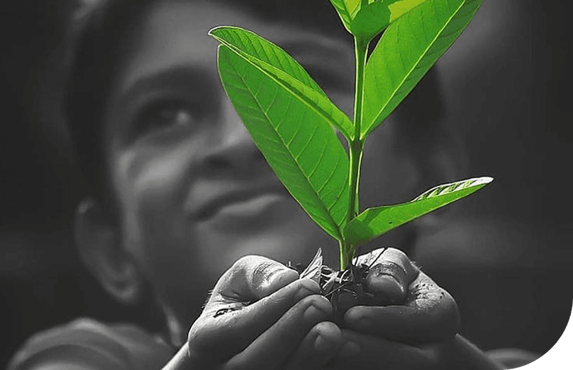 Посади дерево — подари будущее Посади дерево — подари будущее Посади дерево — подари будущее